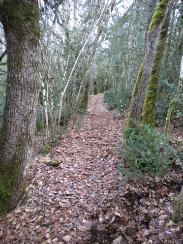 sentier de randonnée GR71